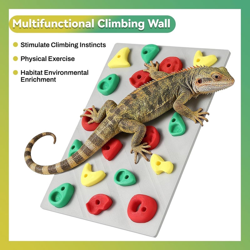 MITCHENIFY Climbing Wall for Reptiles, Reptile Tank Terrarium Accessories Habitat Decor for Bearded Dragons, Leopard Geckos, Lizards, Snakes, Tree Frogs, Amphibian Paludariums Enclosure Supplies - Image 3